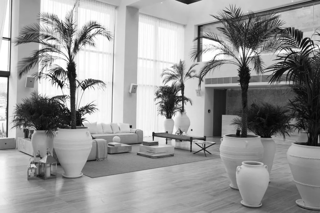 Lobby, The Bodrum Edition, Bodrum