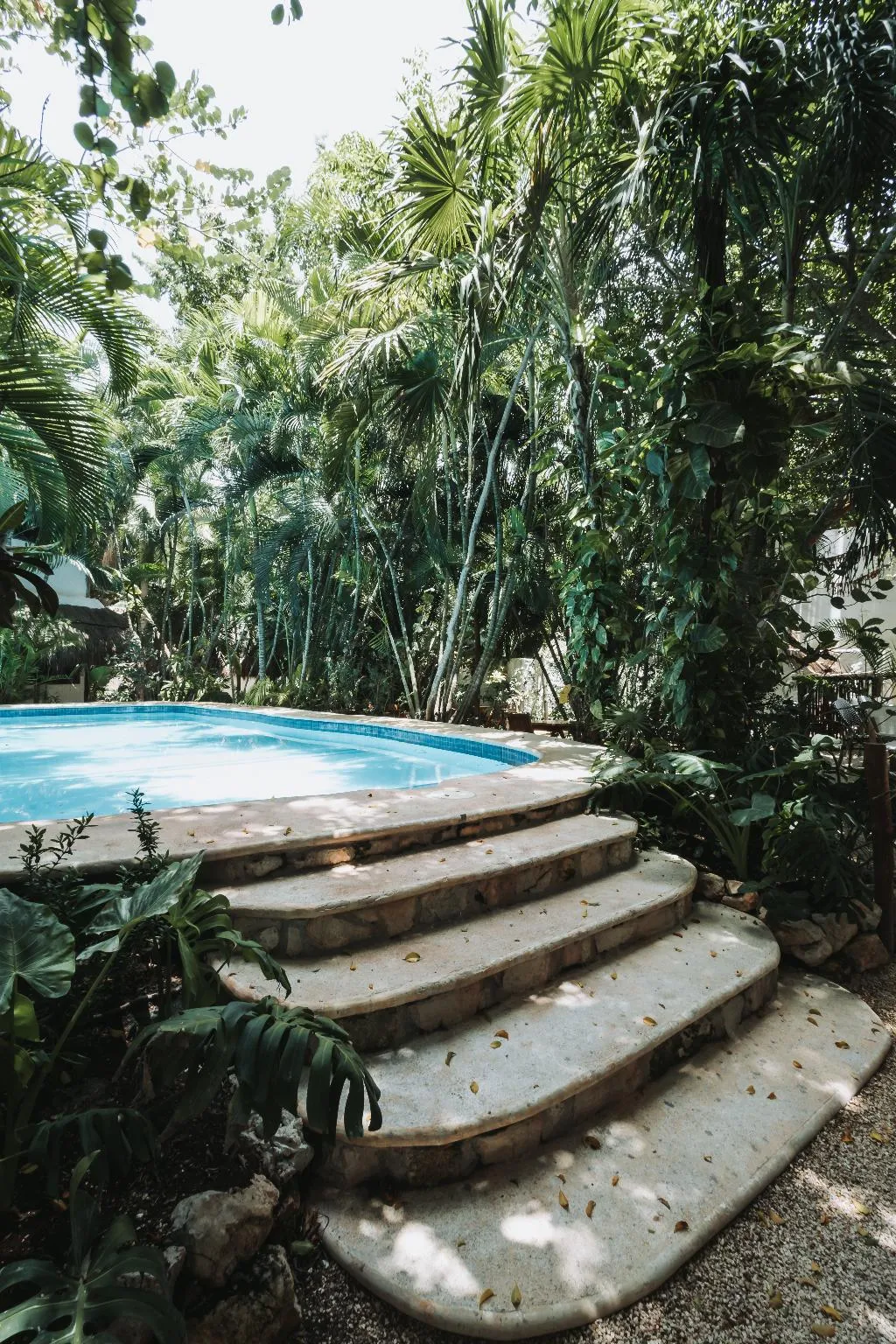 Pool, Hotel Casa Barbara Holbox, Cancun Area