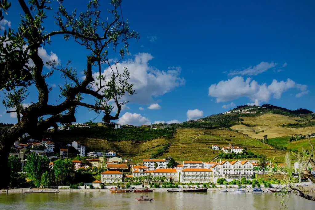 General view, The Vintage House - Douro, Porto