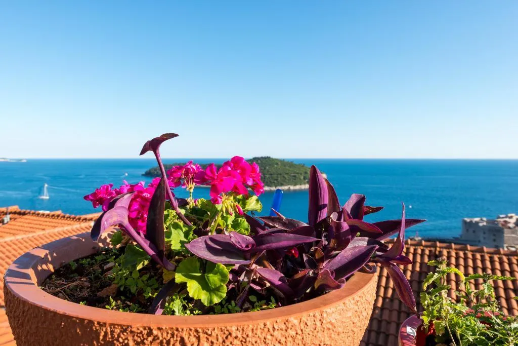 STUDIO SEA VIEW Room, Guesthouse Home Sweet Home, Dubrovnik