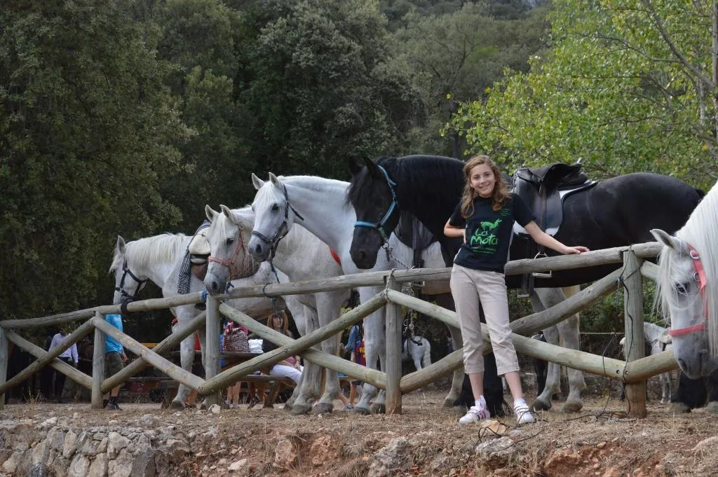 Sports and Entertainment, Hotel Rural Masia La Mota, Costa Blanca