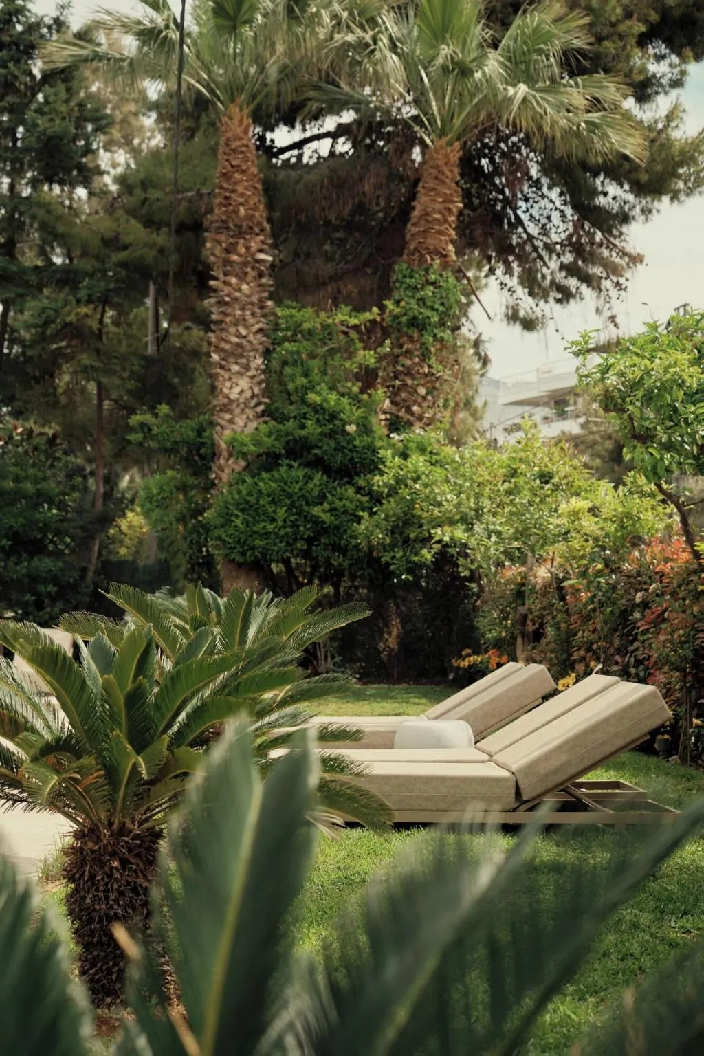 Terrace, Golden Sun, Athens