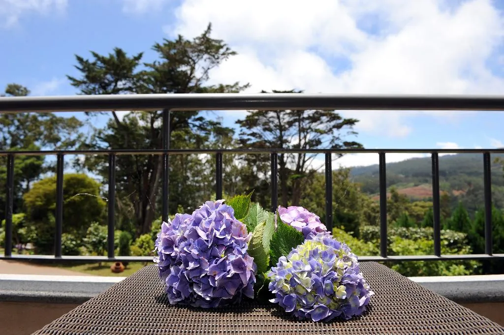 Terrace, Quinta da Cova do Milho, Madeira