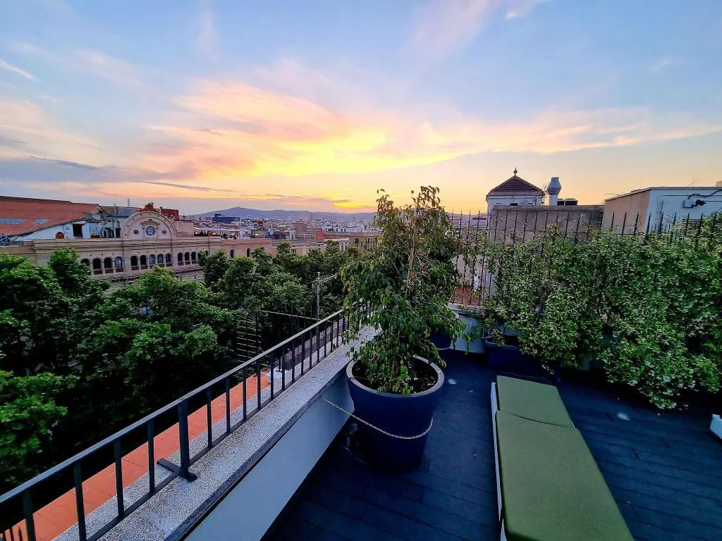 Terrace, Flor Parks, Barcelona