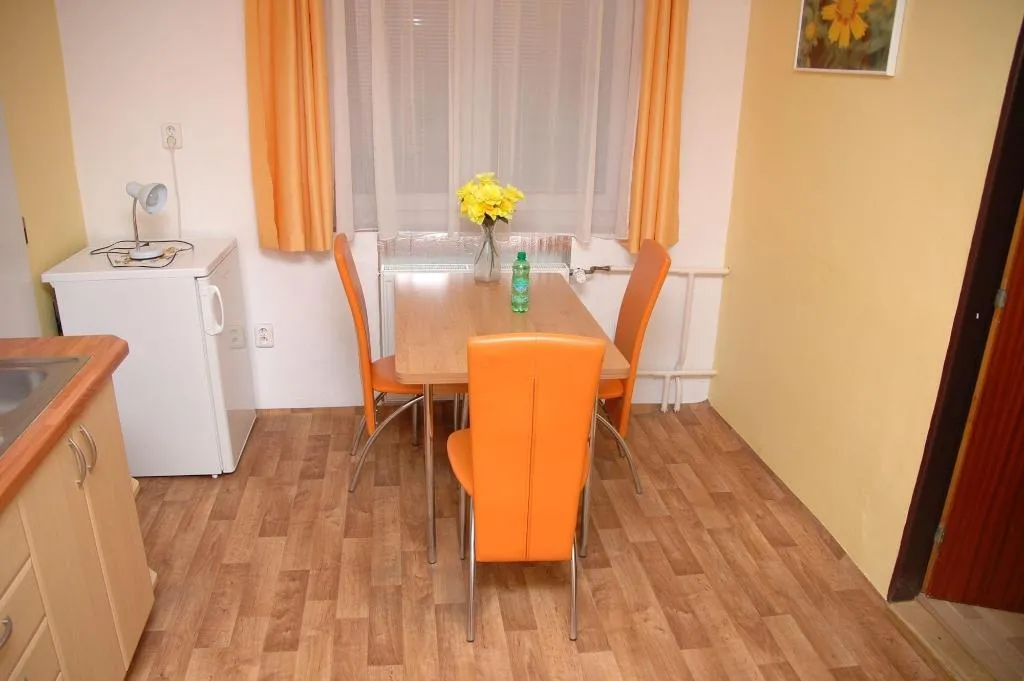 Room, Penzion V Roklích, Prague