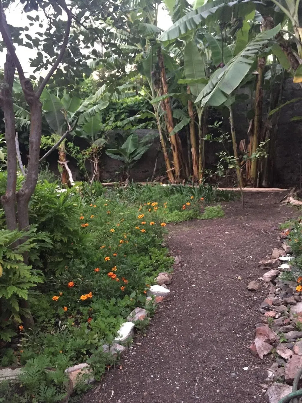 General view, Vitorina Corte Guesthouse, Madeira