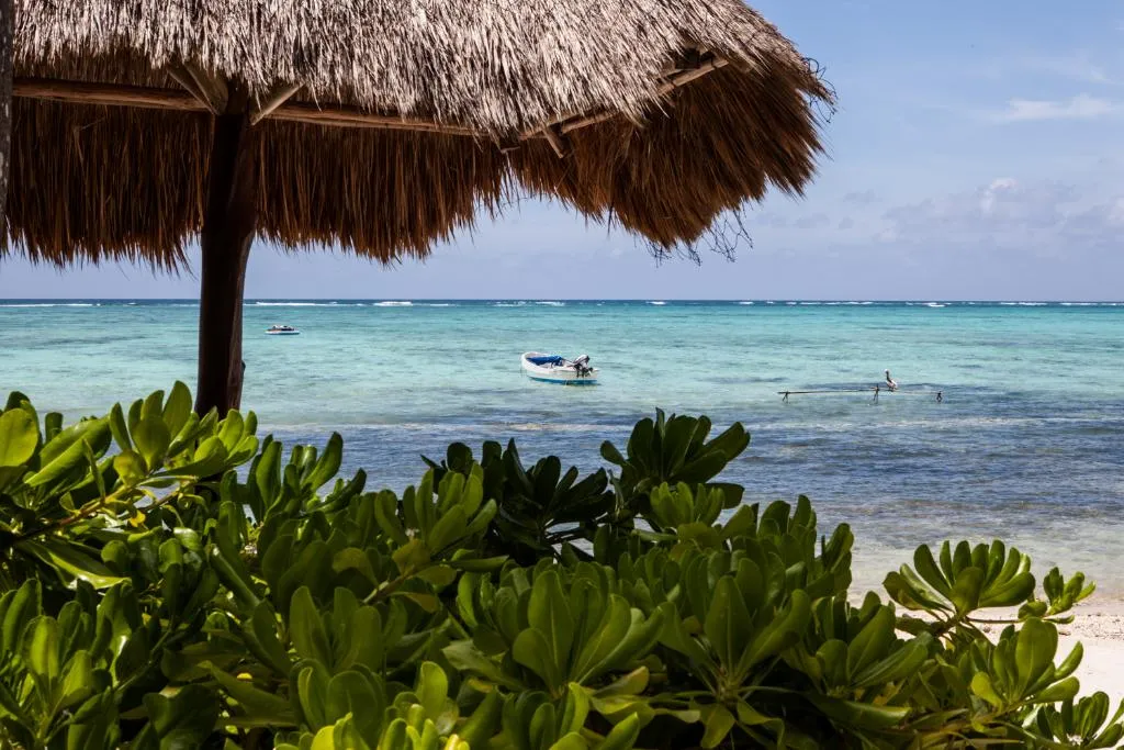 General view, Jashita Hotel, Cancun Area