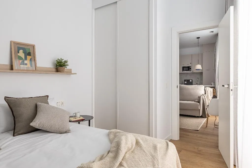 APARTMENT ONE BEDROOM Room, Libere Ciudad Real, Madrid