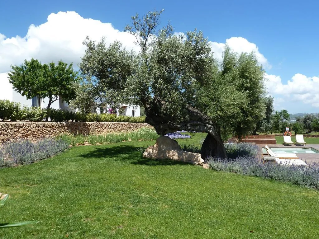 General view, Casa Maca (Es Trull de Can Palau), Ibiza
