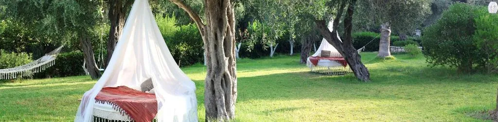 Terrace, Nefeli, Corfu