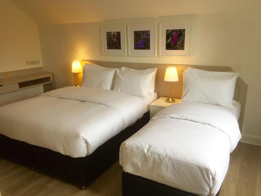 Room, Ballsbridge Townhouse - Merrion Road, Dublin