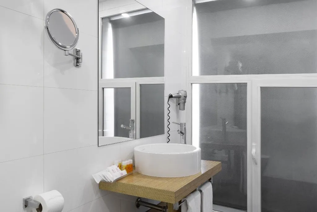 DOUBLE SINGLE USE STANDARD Room, Petit Palace Alcala, Madrid