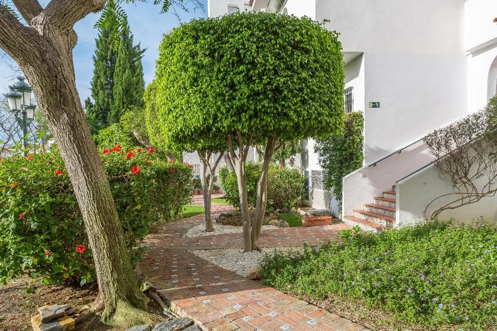 General view, Royal Oasis Club at Pueblo Quinta, Costa Del Sol