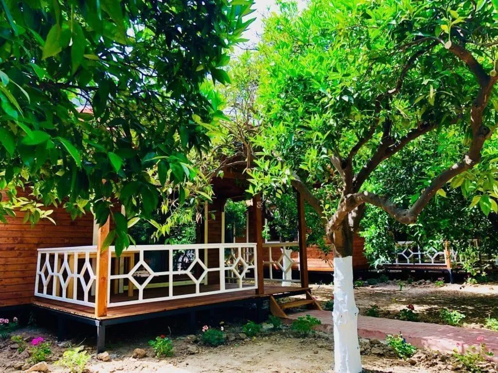 Room, Village Garden Pansiyon, Antalya