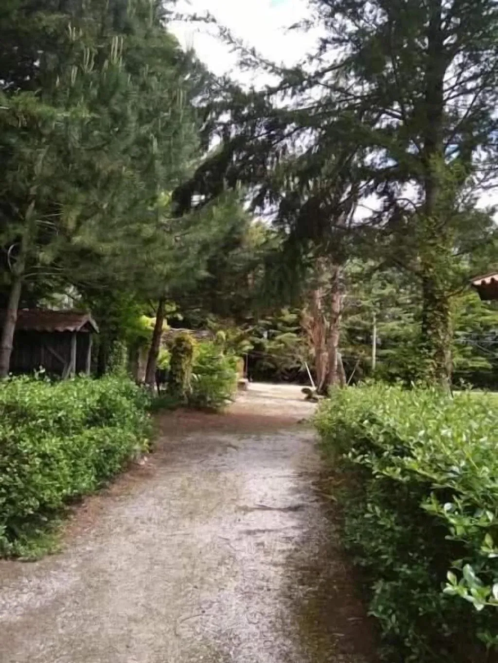 General view, Quinta Sul America, Porto