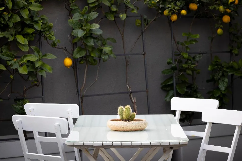Terrace, Hotel Rali Viana, Porto