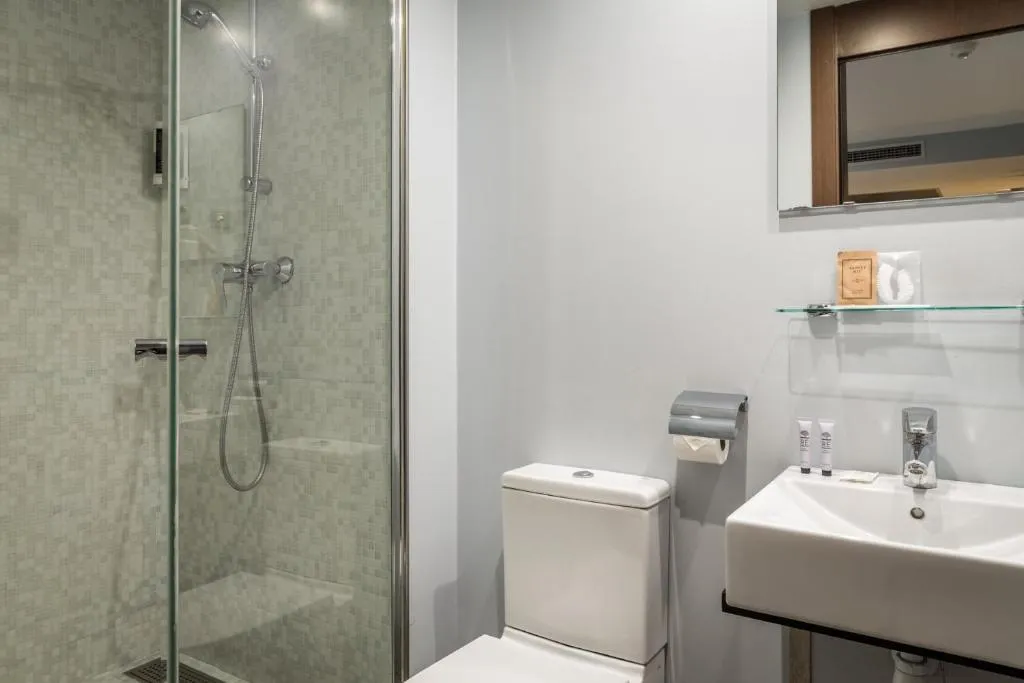 DOUBLE SINGLE USE STANDARD Room, Madanis Liceo, Barcelona