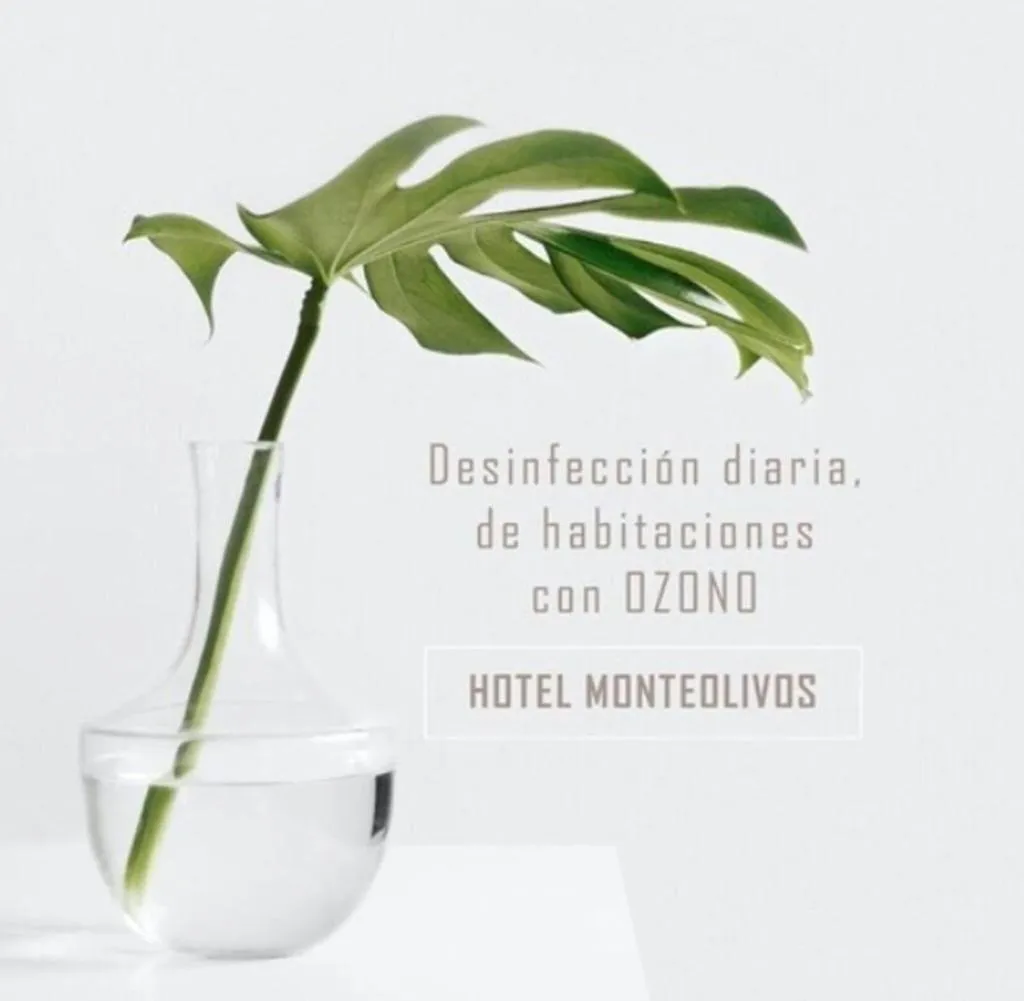 General view, AACR Monteolivos Hotel, Seville