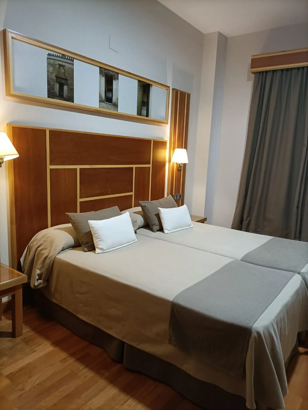DOUBLE SINGLE USE STANDARD Room, Hotel Carmen, Costa Del Sol