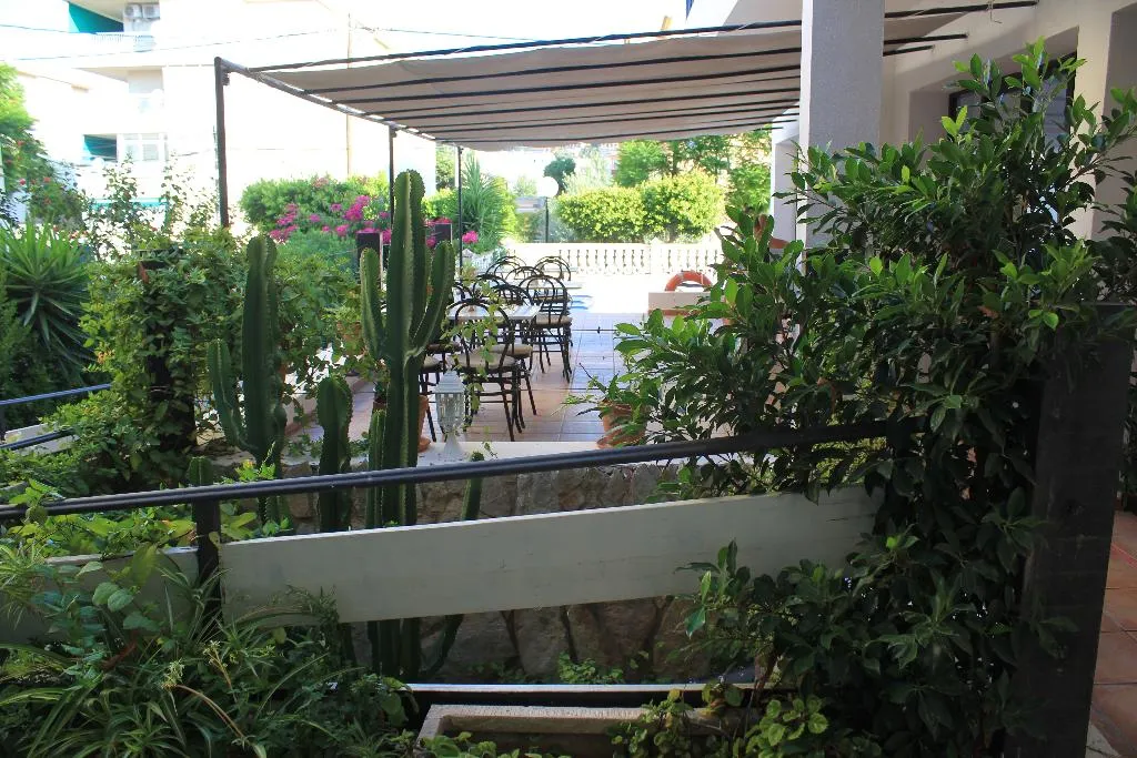 Bar, Hotel 4U, Majorca