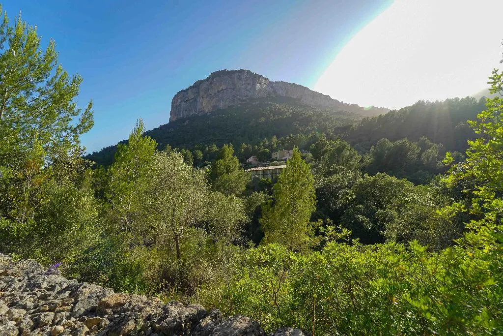 Sports and Entertainment, Hotel Rural S'Olivaret, Majorca