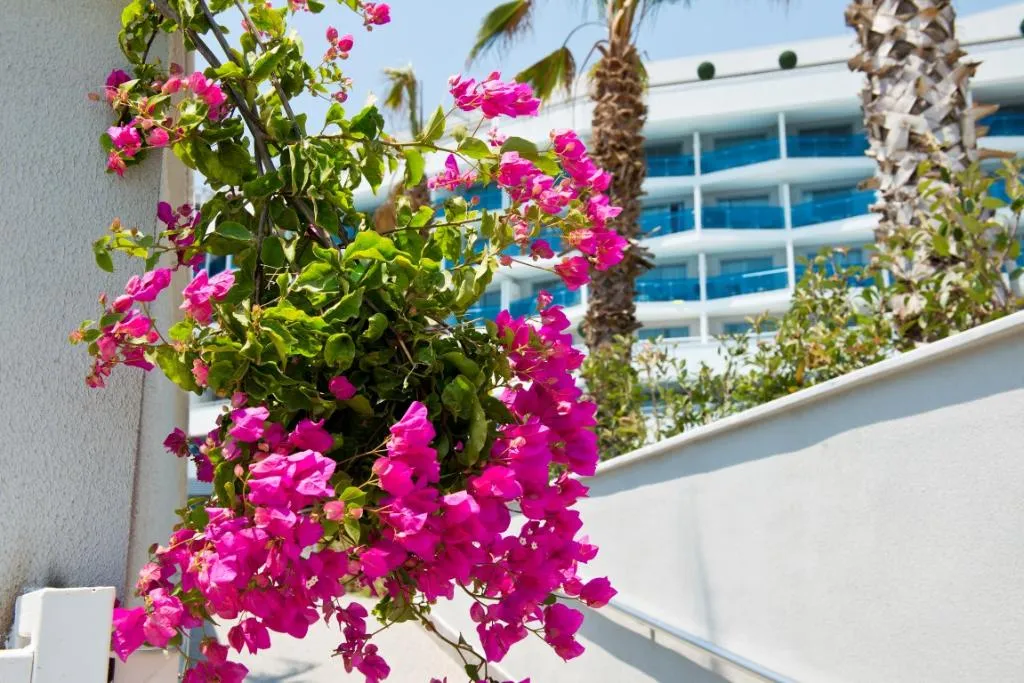 Terrace, Selene Beach & Spa Hotel Theia Hotels Collection, Antalya