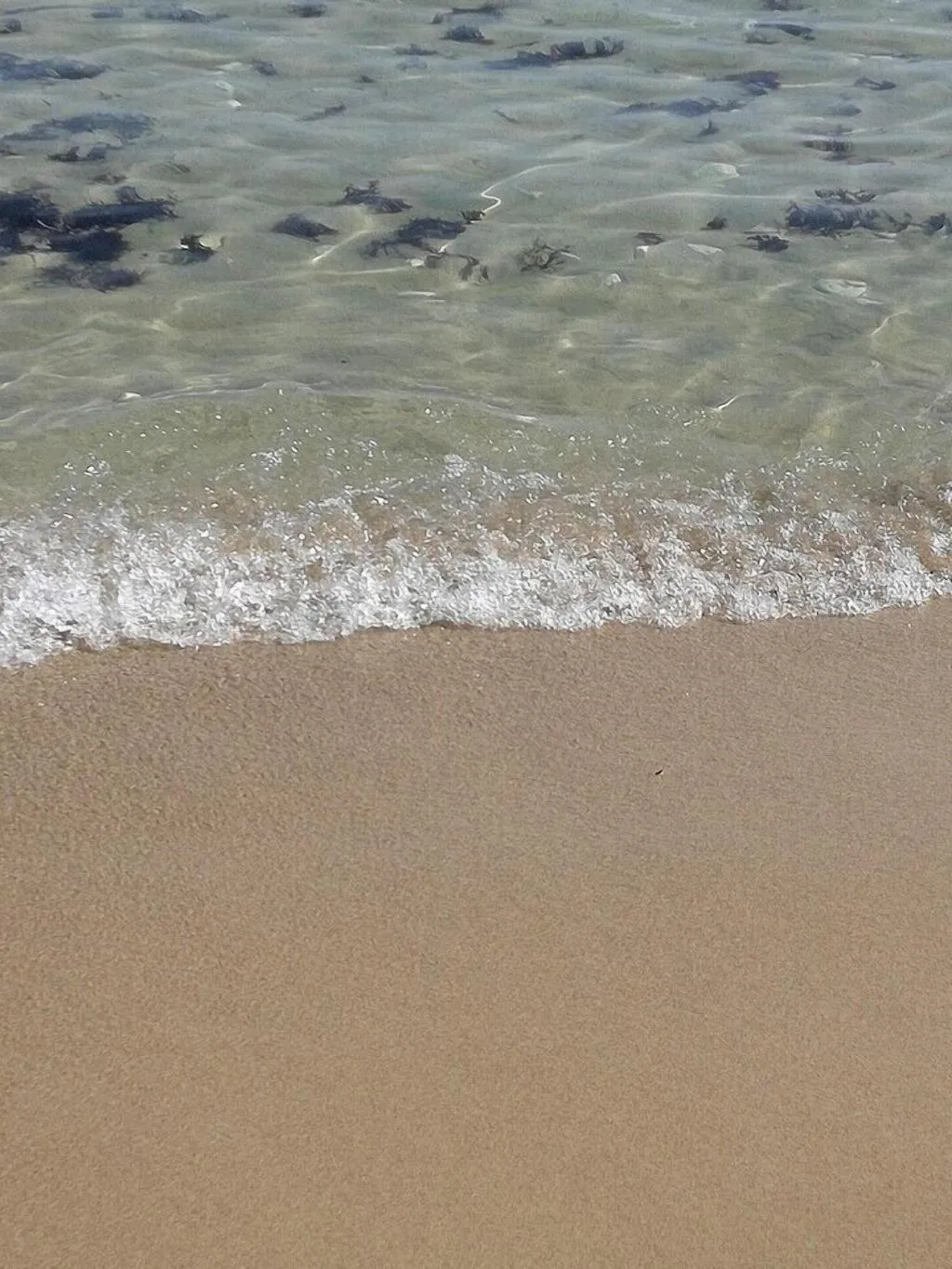 Beach, Hotel Vergina Beach, Crete