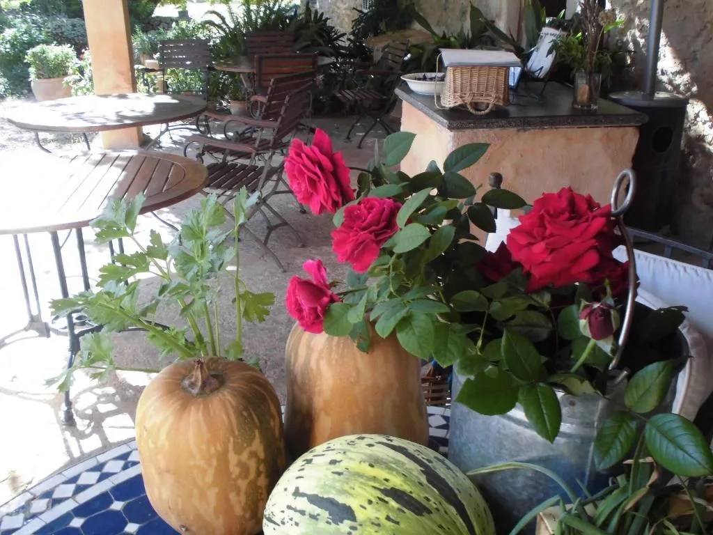 Terrace, Agroturismo Na Set Centes, Majorca