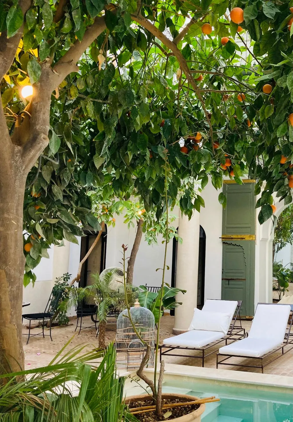 Pool, Riad Rafaele & Spa, Marrakech