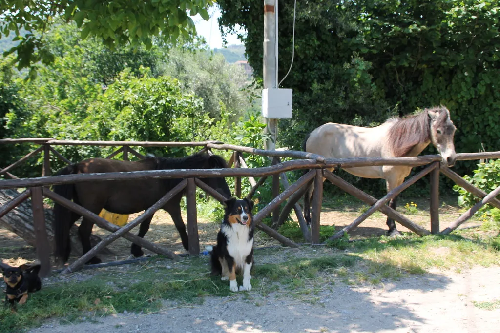 Sports and Entertainment, Agriturismo Piccolo Paradiso, Naples