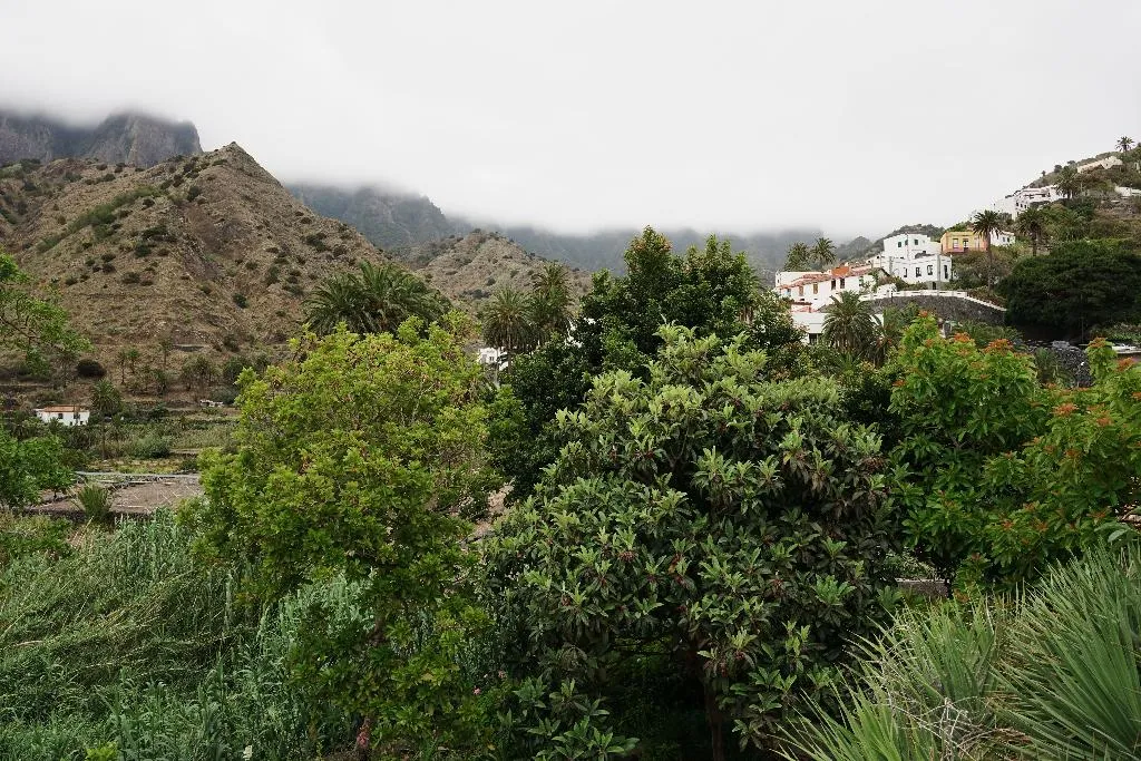 APARTMENT CAPACITY 3 ONE BEDROOM Room, Finca Piñero, Tenerife