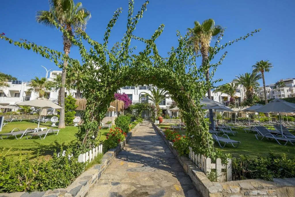 Terrace, Azka, Bodrum