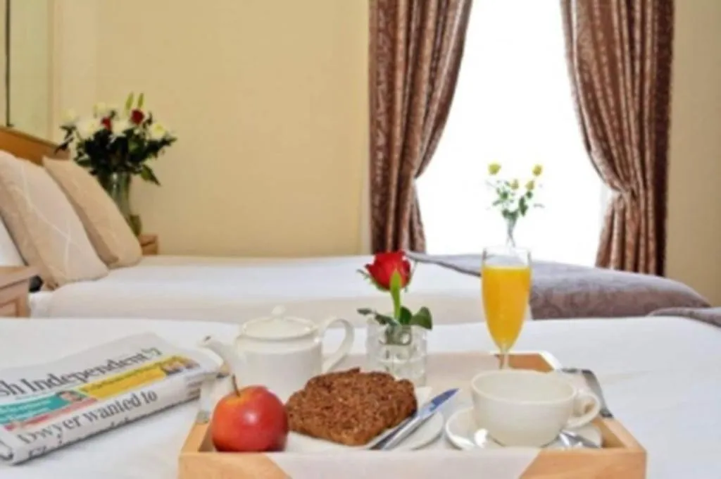 Room, Celtic Lodge Guesthouse Restaurant Bar, Dublin
