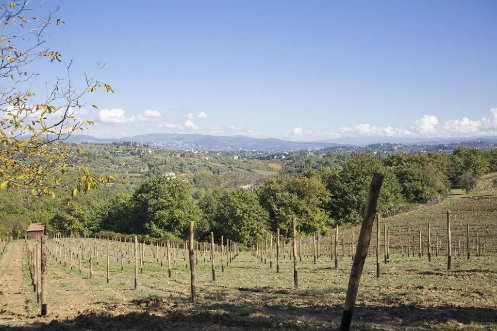 General view, Fattoria Il Milione, Florence
