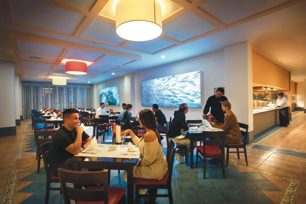 Restaurant, 3HB Guarana - Duplicated ID 909974, Algarve