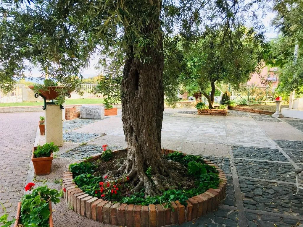 Room, Scilla e Cariddi Bed&Breakfast, Catania