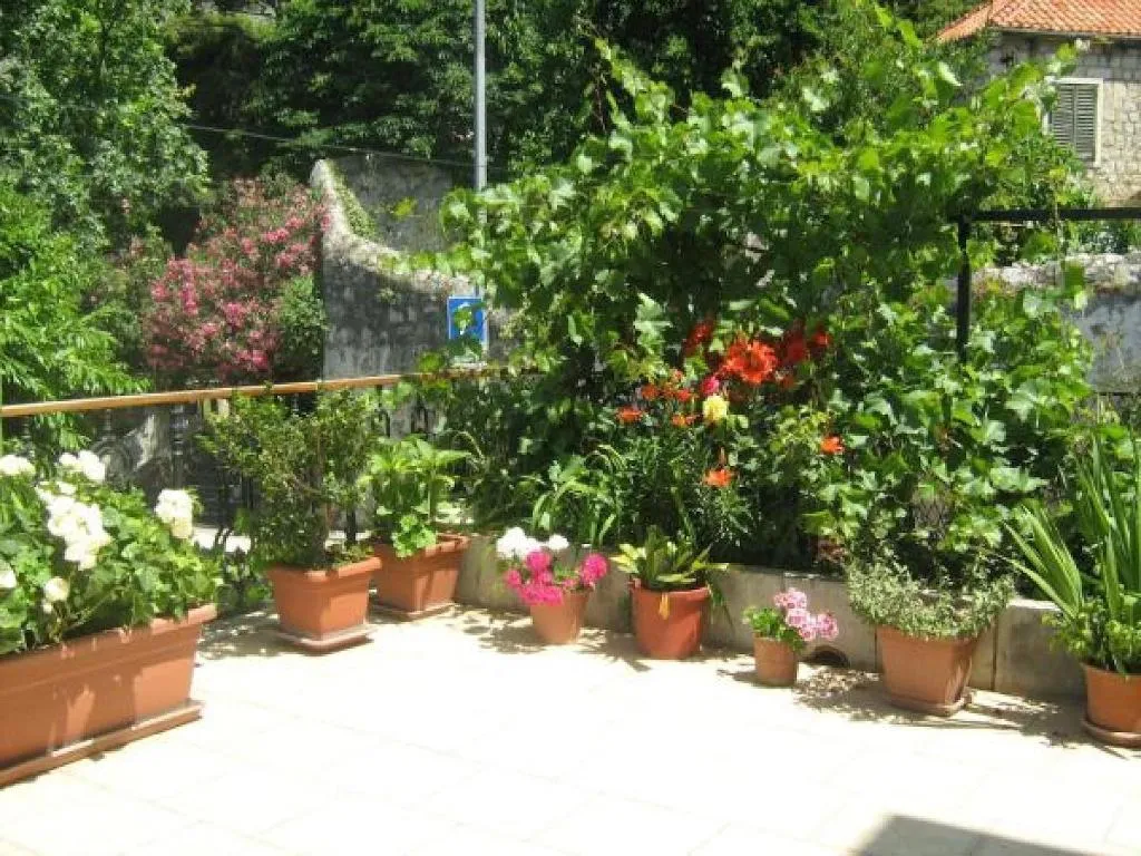 Room, House Boninovo - Adults Only, Dubrovnik