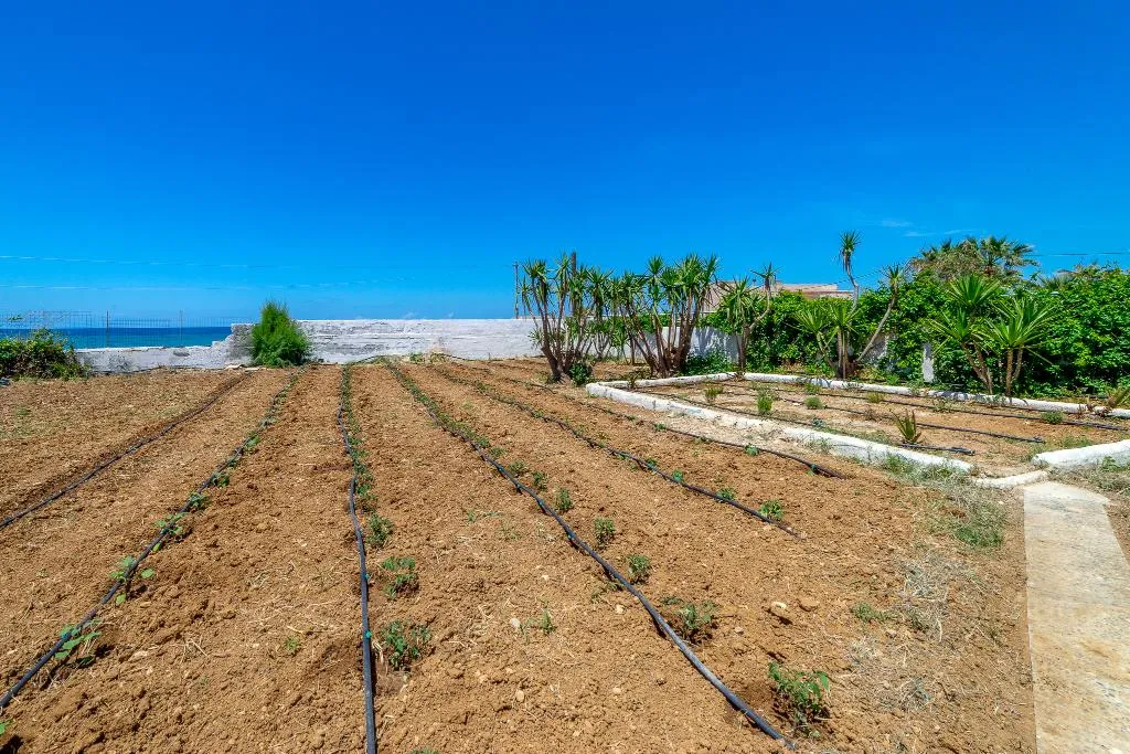 STUDIO GARDEN VIEW Room, Blue Dream Hotel, Crete