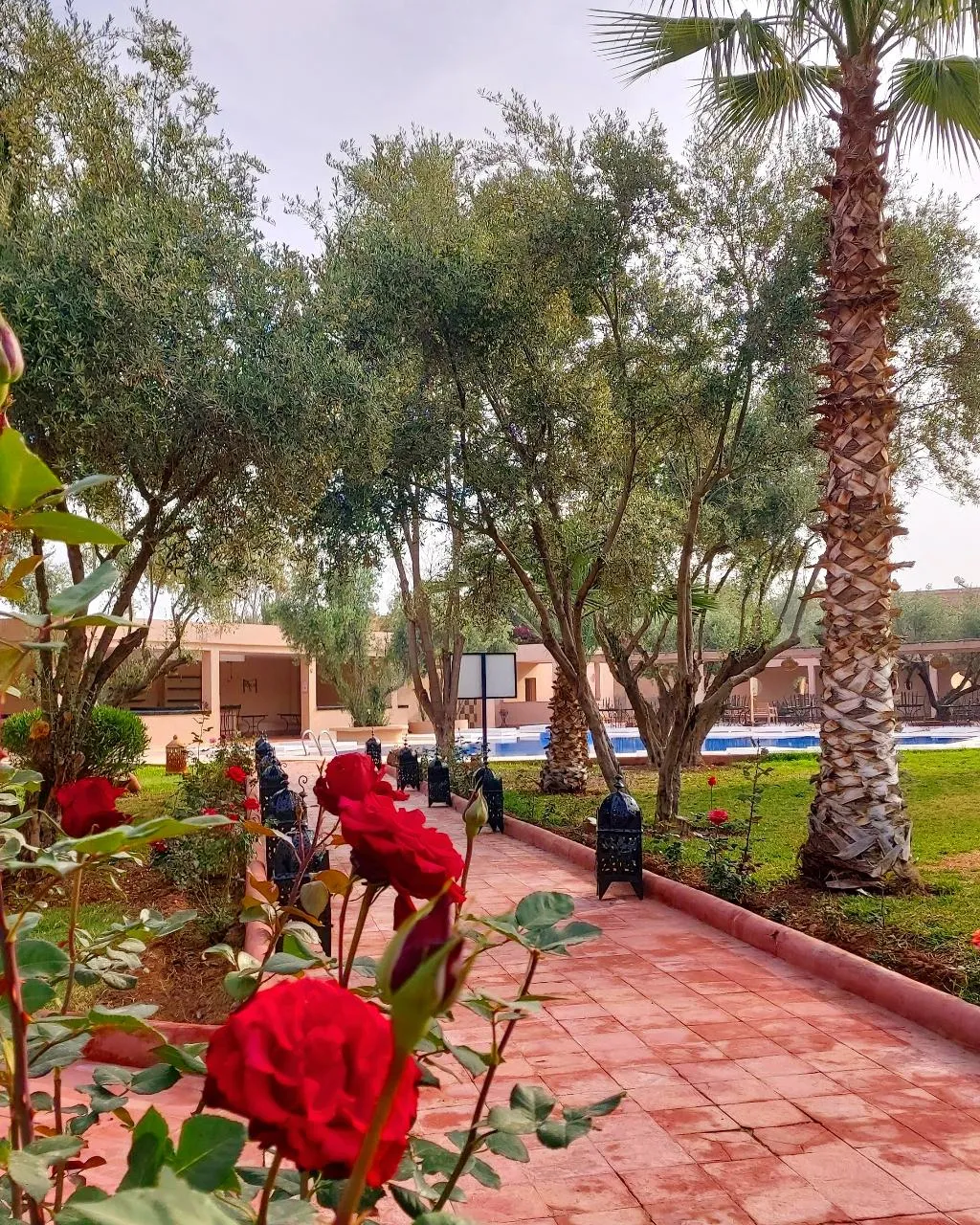 General view, Riad La Maison des Oliviers, Marrakech