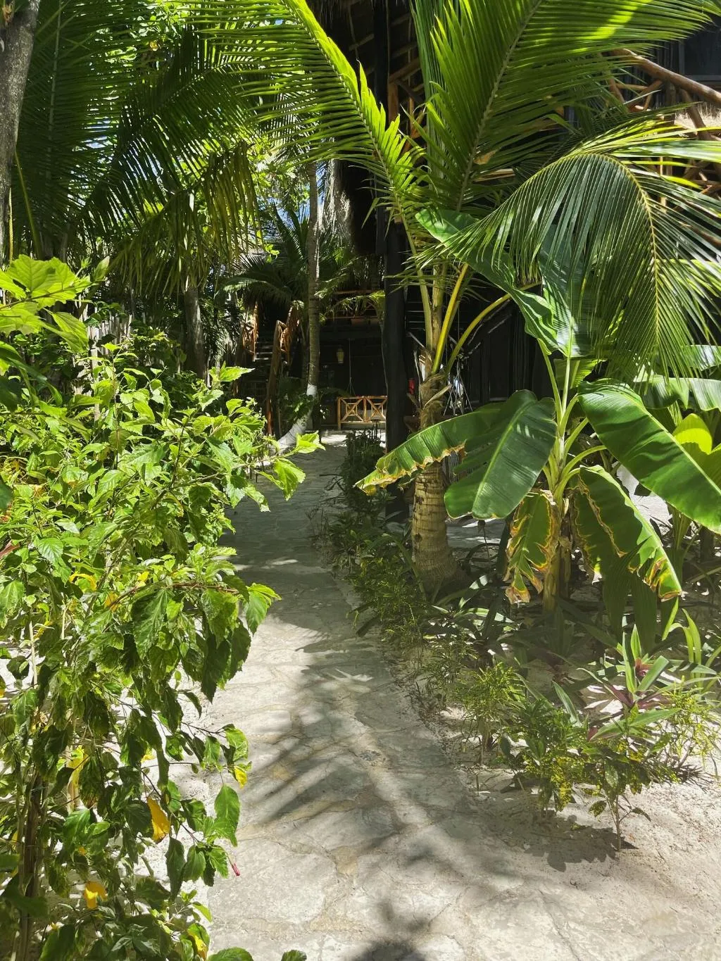 General view, Sivana Tulum, Cancun Area