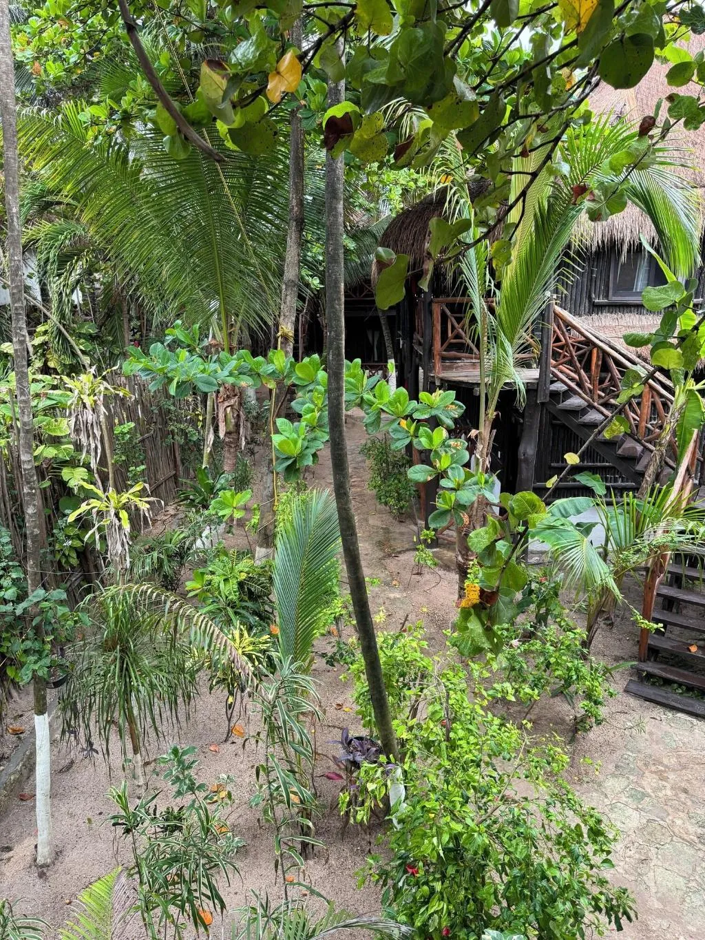 General view, Sivana Tulum, Cancun Area