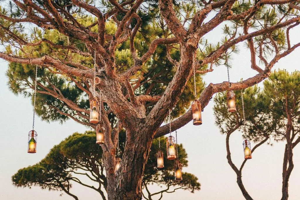 Restaurant, Pine Cliffs Resort, Algarve