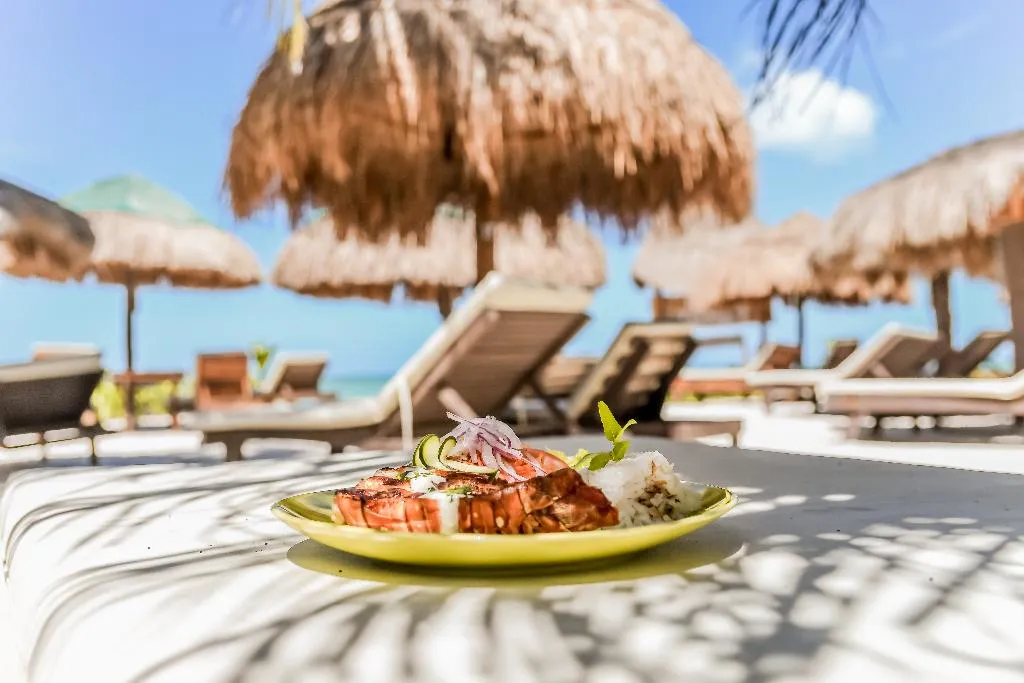 Restaurant, Zomay Beachfront Holbox, Cancun Area
