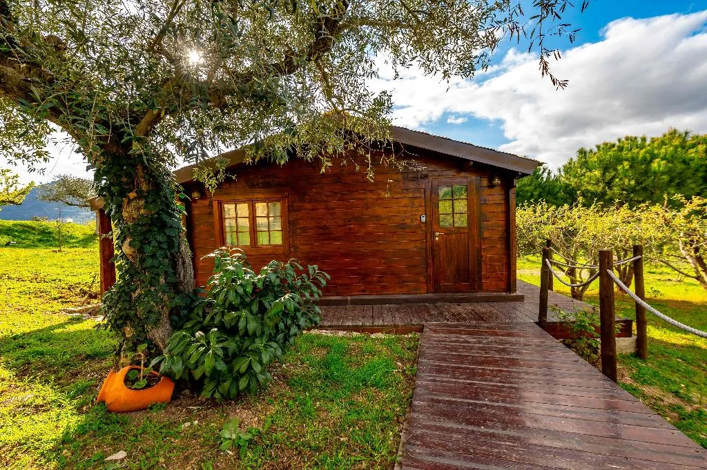 BUNGALOW POOL VIEW ONE BEDROOM Room, Quinta Do Quinto, Porto