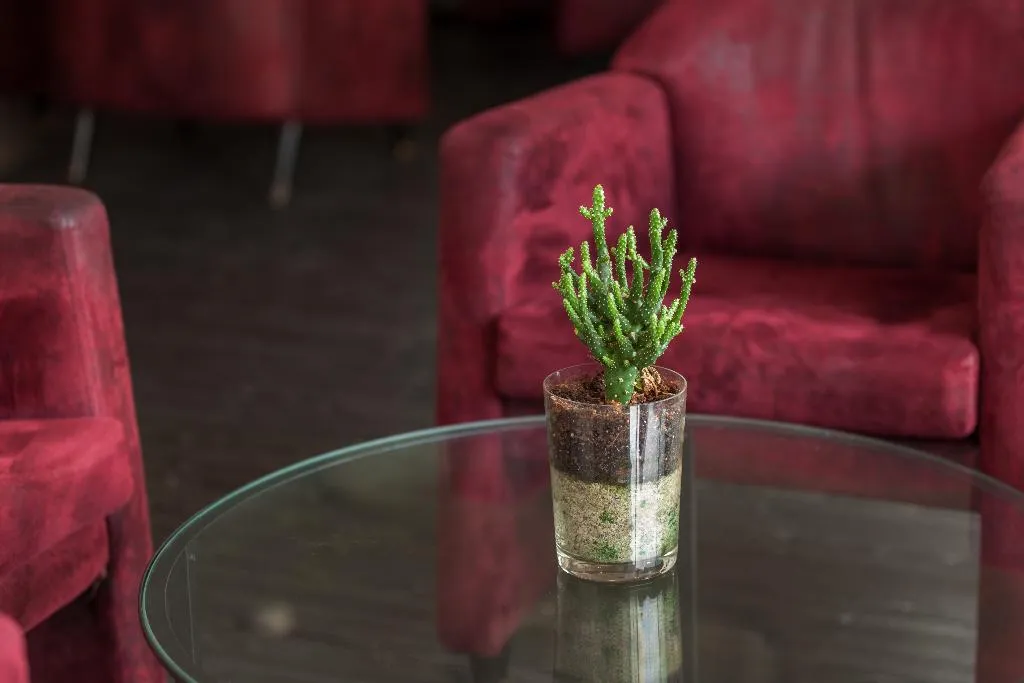 Lobby, Hotel Rali Viana, Porto