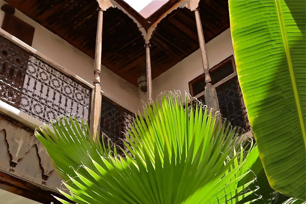 General view, Riad Djebel, Marrakech