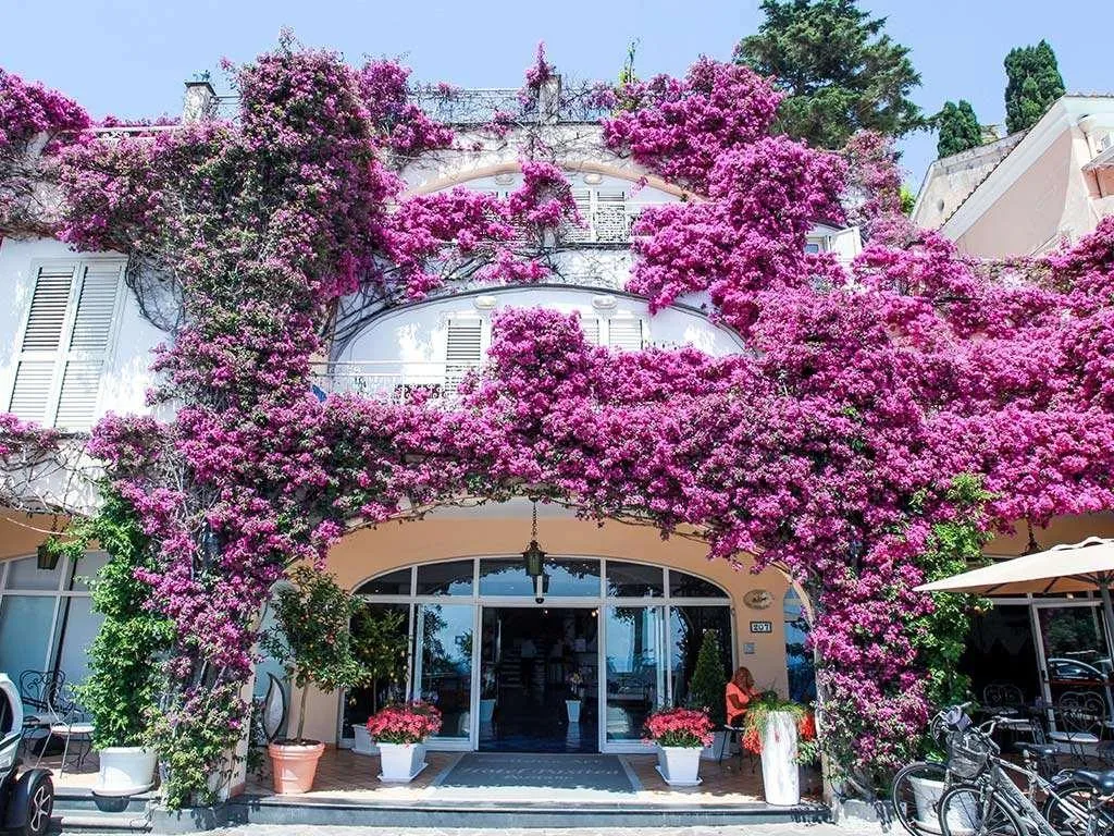 General view, Positano Art Hotel Pasitea, Naples
