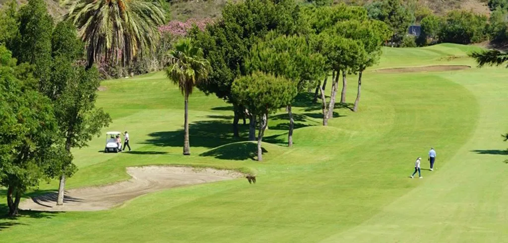 Sports and Entertainment, Añoreta Suites, Costa Del Sol