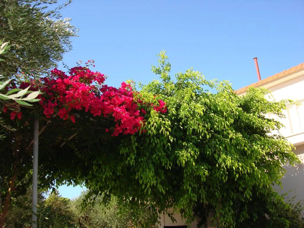 General view, Villa Kapnisi, Zante