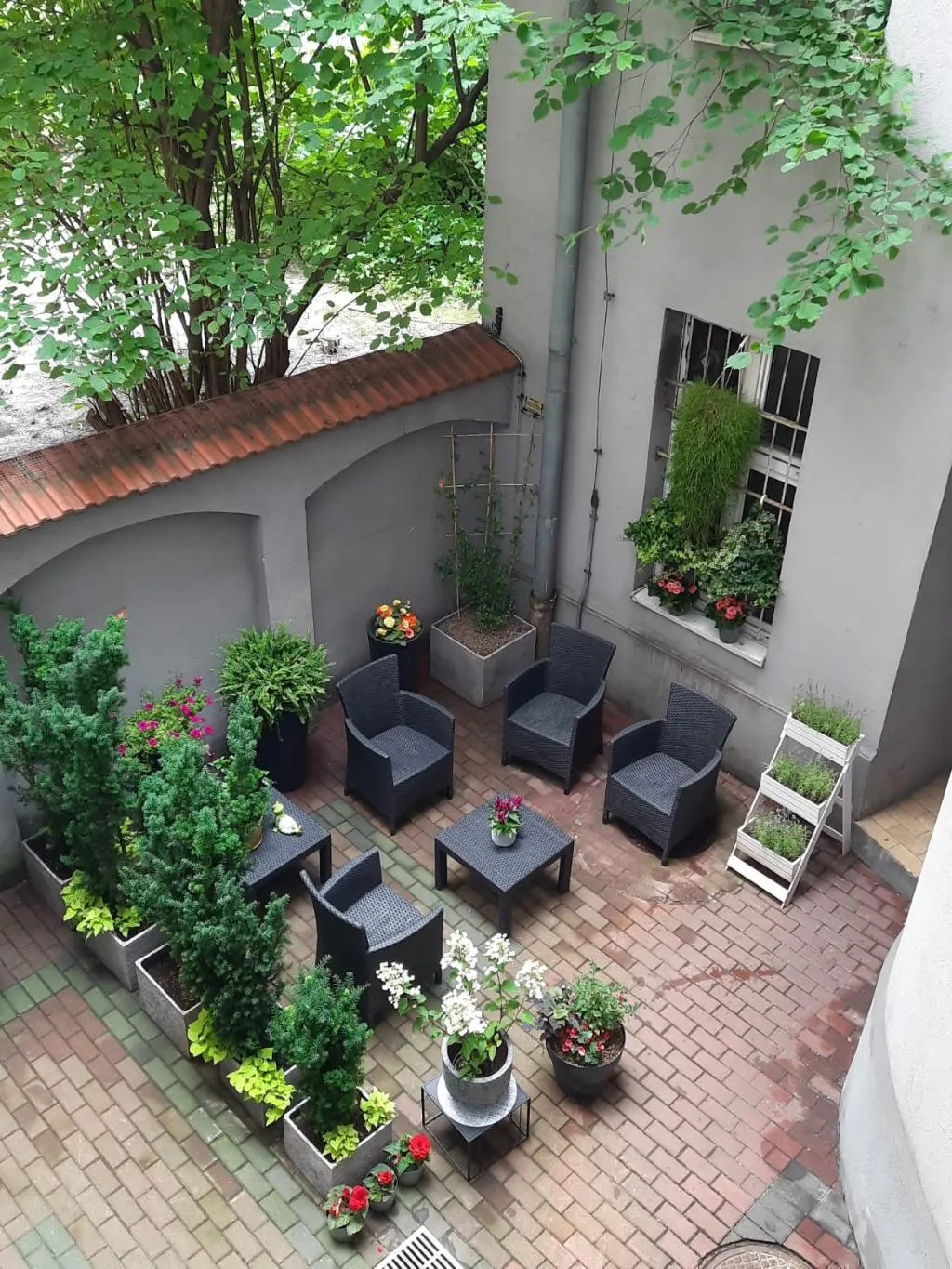 Terrace, Kosmopolita Rooms & Apartments, Krakow